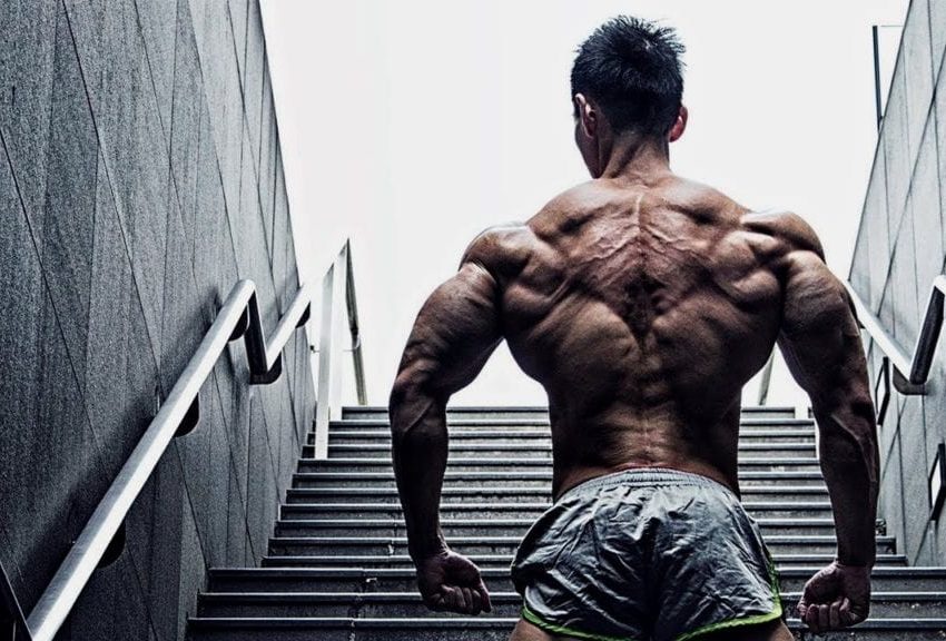 use crazy bulk supplement